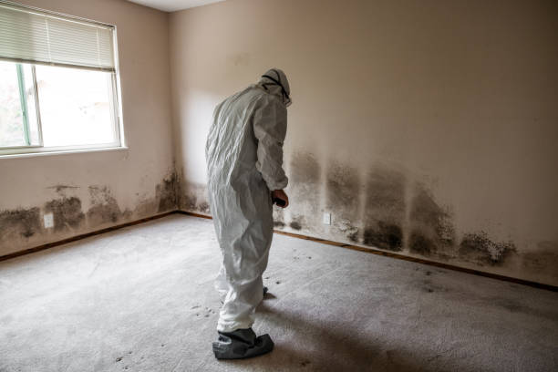 Best Emergency Mold Remediation in Brewster, WA