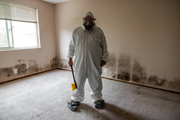 Best Mold Remediation for Specific Building Types in Brewster, WA